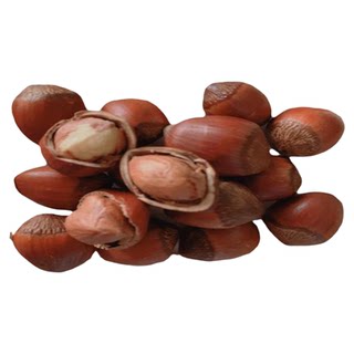New arrival in 25 years, jade pendant hazelnuts, northeastern specialty tieling kaiyuan large hairy hazelnuts thin-skinned iron pan fried without opening