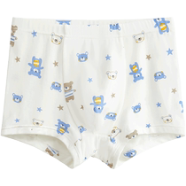Red bean childrens underwear boys modal pure cotton crotch baby boys middle and large childrens PP student boxer briefs