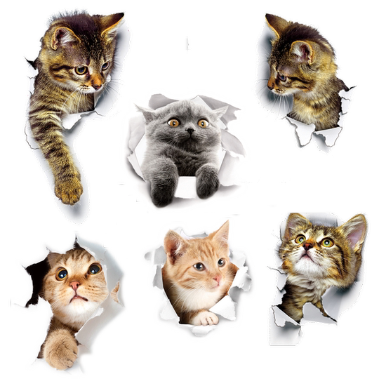 Funny toilet sticker waterproof pvc self-adhesive