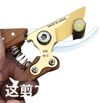 Japanese pruning shears original SK5 garden scissors powerful large labor-saving fruit tree gardening flower pruning scissors