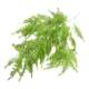 Wall hanging decoration simulated green plant fern plastic rattan
