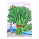 Emperor's vegetable chrysanthemum seeds four seasons vegetables