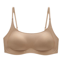 Catman Seamless Cooling Underwear Womens 2024 New Small Breast Gathering Soft Support Anti-Sagging Pull-Up Supporting Secondary Breasts