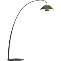 Op anti-glare full spectrum fishing lamp offline voice reading floor lamp living room sofa decoration vertical table lamp DD