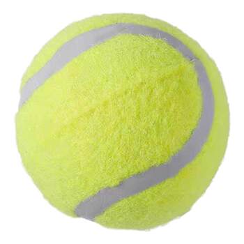 Dog toy ball self-sustaining tool