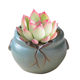 Succulent flower pot simple ceramic creative bottom punch