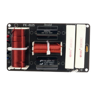 Single 12-inch speaker crossover high school universal professional