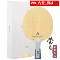 W81 встроенный_горизонтальный FL (длинная ручка)