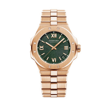 Alpineeagle snow mountain proud wing watch