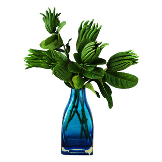 金华佛手柑带枝佛手果水养小佛手鲜果水培把玩观赏闻香清供插花果