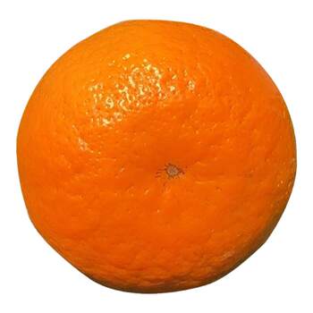 Guangxi wuming wogan