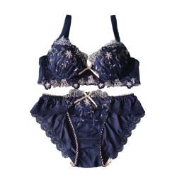 Spring and summer ບາງ lace sexy ແລະສະດວກສະບາຍ underwire bra set ມີ disc ເຕົ້ານົມແລະຫົວໃຈໃນຂະຫນາດໃຫຍ່