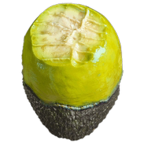 Woye Mexican Avocado Fresh Fruit Seasonal Whole Box Quick-release Imported Avocado Large Fruit Super Ready-to-Eat 10 Pieces