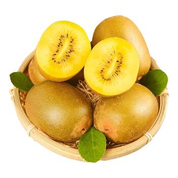 Recommended 30 pieces of fresh yellow kiwi fruit