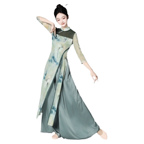 Summer dance protagonist classical dance cheongsam dance costume female elegant Chinese ethnic style printed gauze practice performance costume