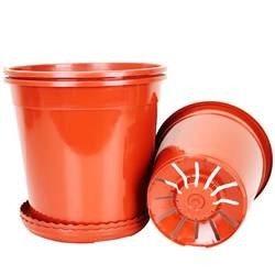 Jiali hard Clivia orchid planting pot seedling pot seedling pot root control breathable gallon flower pot Qingshan pot