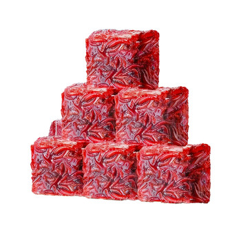 Frozen red worm fish food hexagonal dinosaur fish feed newt luohan fish axolotl special red worm fresh fish food