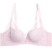 (Admiration 1993 Series) Underwear Womens Soft Support Small Breast Gathering Sexy Lace Hole Bra AM148501