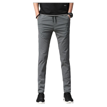 Summer Ice Silk Casual Pants Mens 2024 Summer New Korean Style Loose Straight Thin Casual Style Business Pants