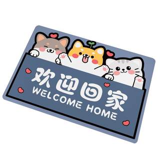 Entrance door floor mats, door mats, large size