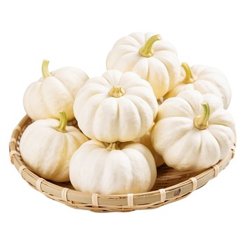 Fresh creamy white beibei pumpkin soft and sweet
