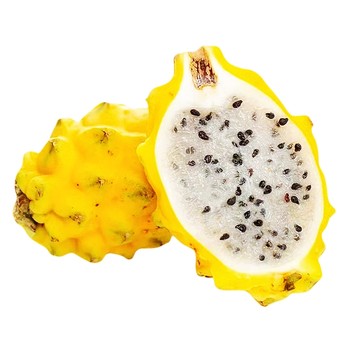 Authentic hainan bird's nest is fruity, juicy and as sweet as rock sugar