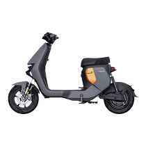 No. 9 Electric F MIX New National Standard Electric Car Adult Commuting Intelligent No. 9 Battery Car (Please go to the store to buy)