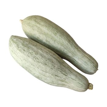 Xinjiang zhifa desert noble old pumpkin pregnant food supplementary food