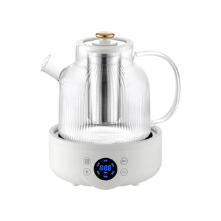 Health pot multifunctional household flower teapot