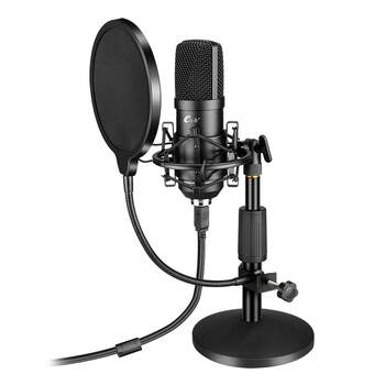 Internet celebrity desktop computer laptop professional microphone