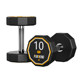 PEV pure steel dumbbells, odor-free and dedicated for fitness