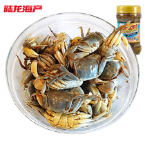 Little Crab Drunken Crab Lulong Brothers 3A White Jade Crab Authentic Ningbo Style Ready-to-Eat Seafood 300g