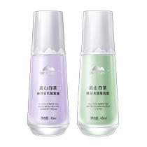 Botanical Doctor Concealer Pre-Makeup Moisturizing Hidden Pores Light Thin Nude Makeup Primer Isolation Cream 40ml*1 Bottle