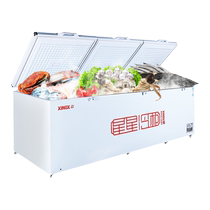 Star BD BC-1598GE commercial single temperature ultra-large capacity freezer refrigerated fresh-keeping kitchen supermarket cold storage