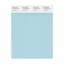 Pantone Pantone color card Pantone clothing home 12-4302 to 12-5408TCX cotton version single color card