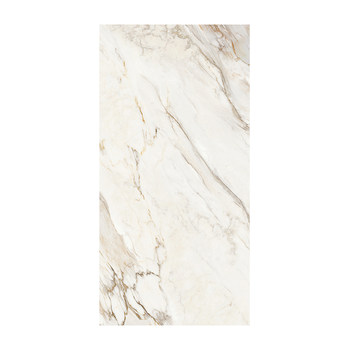 Old money style light luxury living room bathroom tiles guangdong bricks