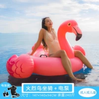 57558 Firebird Bird Mount+Electric Pump