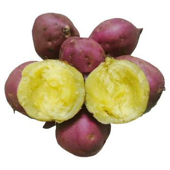 Selenium-enriched chestnut sweet potato hainan qiaotou sweet potato