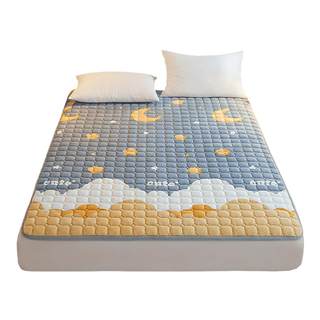 Class a antibacterial milk fleece mattress cushion quilt mattress pad