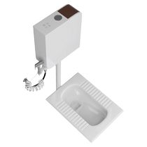 Домашняя керамическая скваттинг на поддон-цистерна комплектный набор Отряд туалетное туалетное туалетное туалетное покрытие