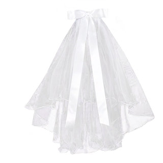 Bailu's same style proposal and wedding certificate photo with atmosphere