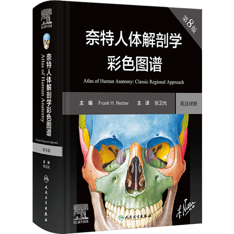 奈特人体解剖学图谱第8版张卫光彩色神经系统肌肉骨骼生理学肌动学解刨