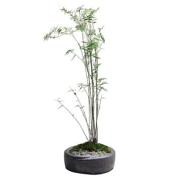 Antique old flowerpot chinese style japanese style classic special price