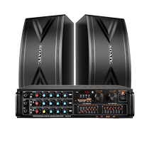 Sony Ericsson professional amplifier combination audio set 10-inch home speaker card package KTV wall-mounted subwoofer commercial 310
