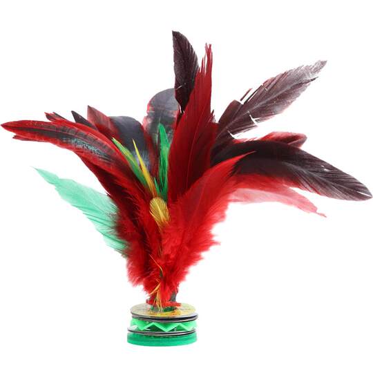 Shuttlecock special feather for primary school students competition