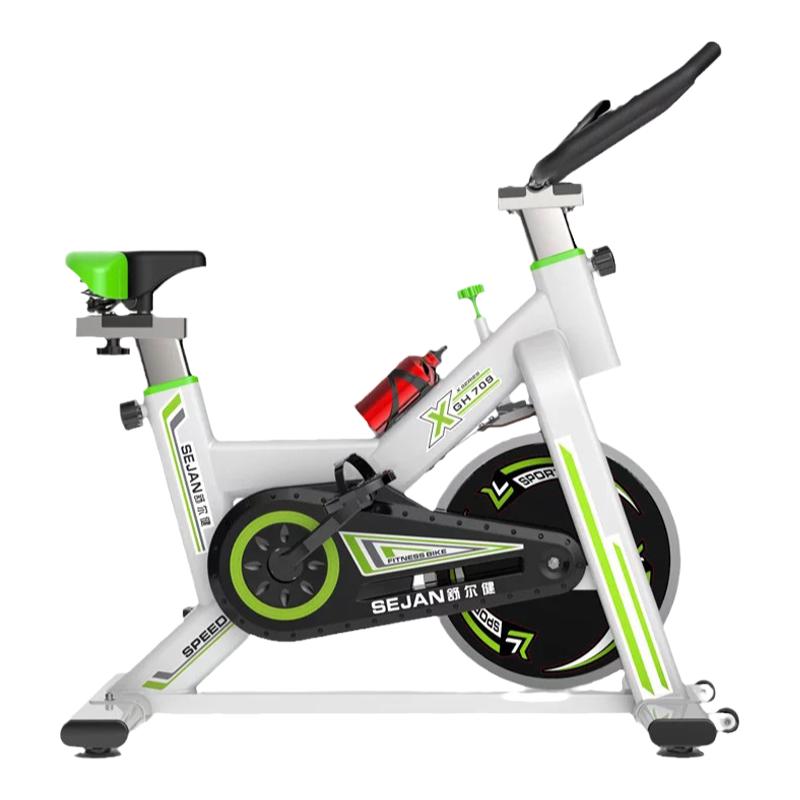 Spin bike home small silent indoor gym