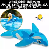 58523 Голубая кита