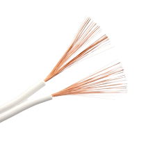 National standard pure copper double-stranded ultra-fine small wire soft wire white electronic parallel wire 2-core 0 3 0 5 square signal line