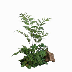 High-End Artificial Green Plants for Indoor Use in Shopping Malls, Balconies, Living Rooms, Downstairs, and Hotels, Decorative Fake Fern Tree Landscaping Combination