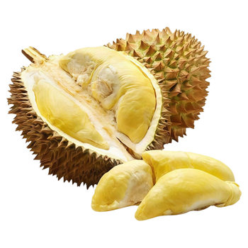Durian tree ripe palm golden pillow durian freshly imported from thailand a whole fresh fruit with shell seasonal fruit